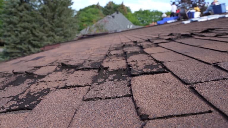 Best Solar Panel Roofing Installation  in Seneca, MO