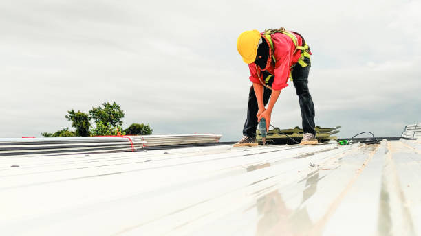 Best Steel Roofing  in Seneca, MO
